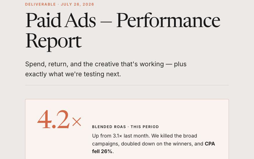 Paid Ads Performance Report preview